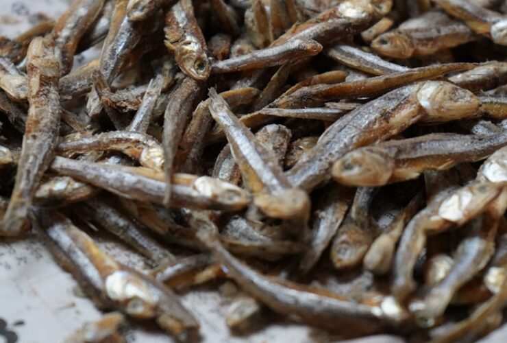 a pile of dried fish sitting on top of a newspaper